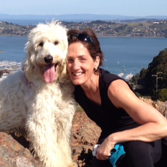 Fundraising Page: Lisa Gerick